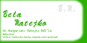 bela matejko business card